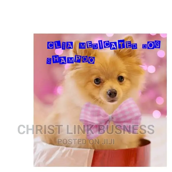 Medicated DOG Shampoo