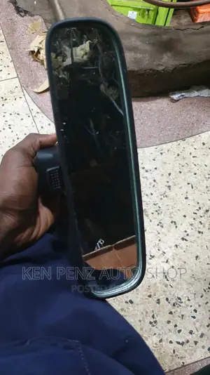 Toyota Rav4/ Premio and TX Driving Mirrors