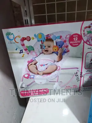 Infant to Toddler Baby Rocker.