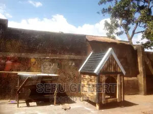 NCDDX Nice Dog House Available