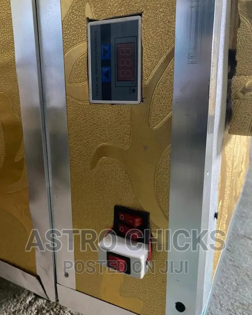 Egg Incubator