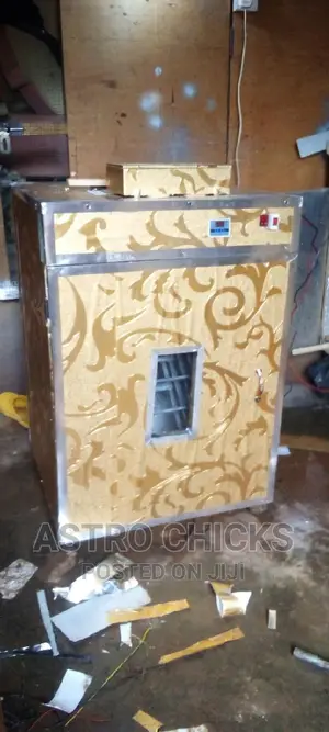 Egg Incubator
