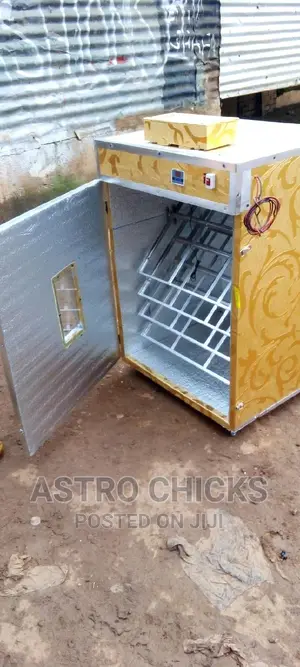 Egg Incubator