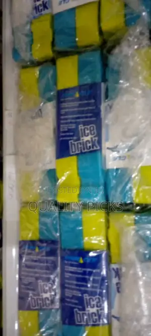 Plastic Ice Brick