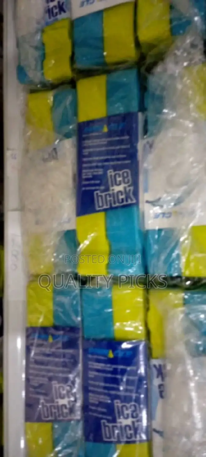 Plastic Ice Brick