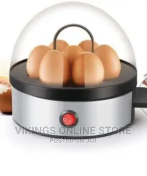 Fast Electric Egg Boiler