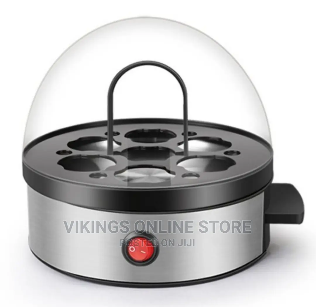 Fast Electric Egg Boiler