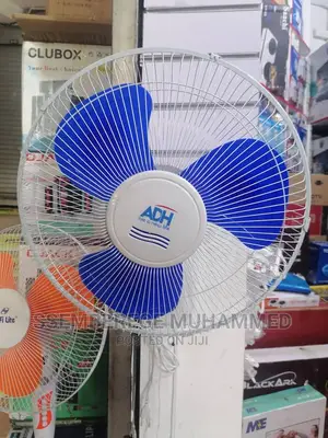 Wall Mount Fan