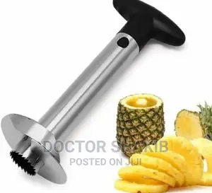 Stainless Steel Creative Pineapple Corer Slicer