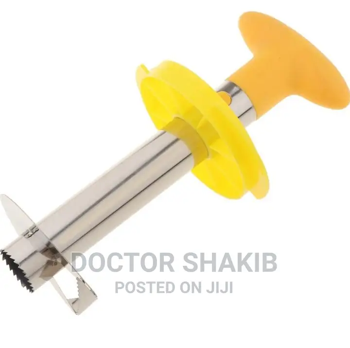 Stainless Steel Creative Pineapple Corer Slicer