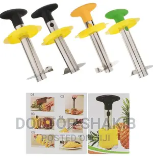 Stainless Steel Creative Pineapple Corer Slicer