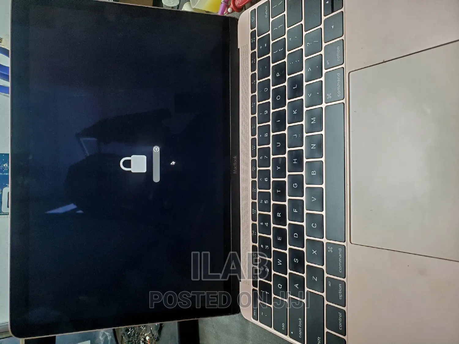 Macbook EFI Password Removal