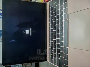 Macbook EFI Password Removal