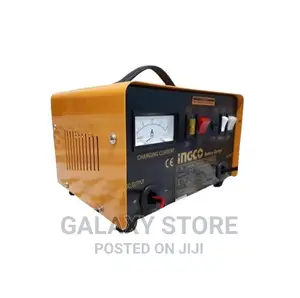 Battery Charger 12/24v