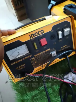 Battery Charger 12/24v