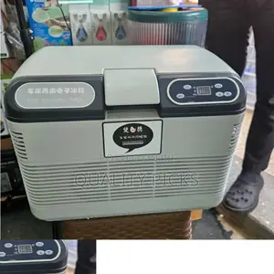 Portable Mini Car Fridge