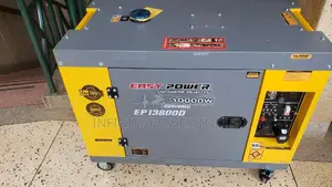 Easy Power Generator EP13800D