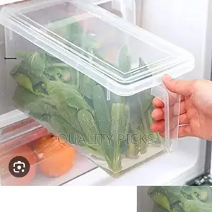 Fridge Storage Containers