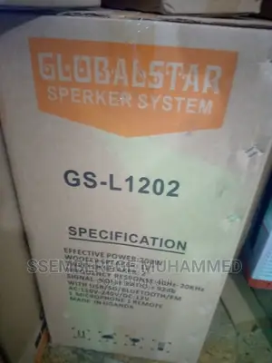 Music Speaker System