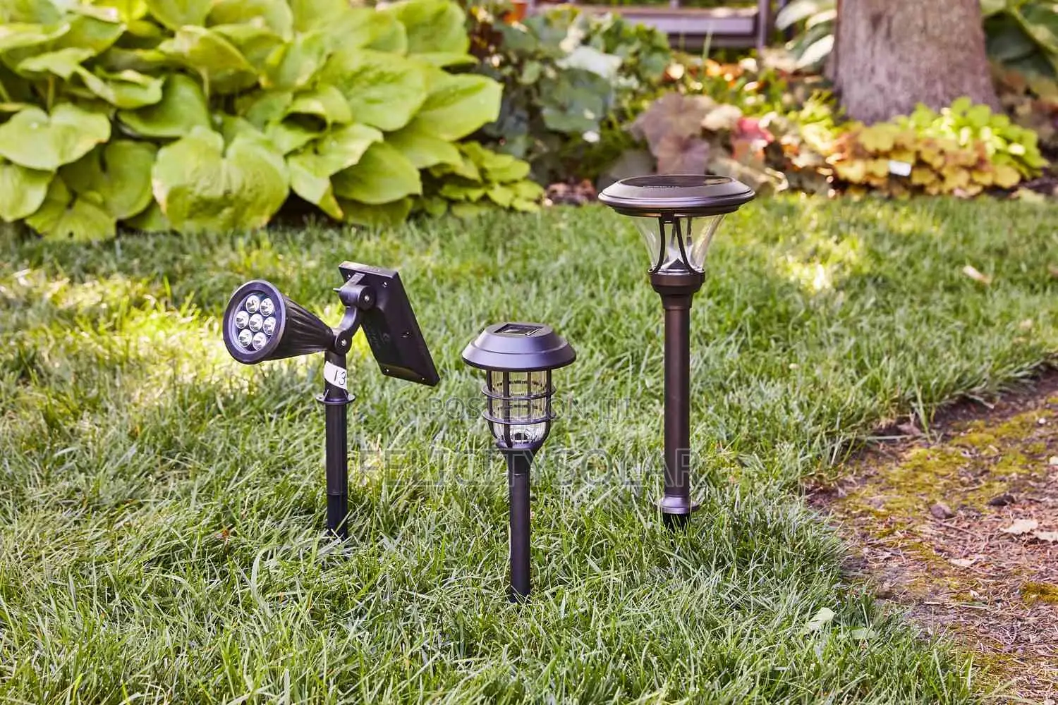 Garden Solar Light