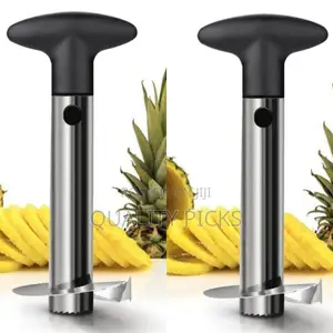Kitchen Pineapple Cutter