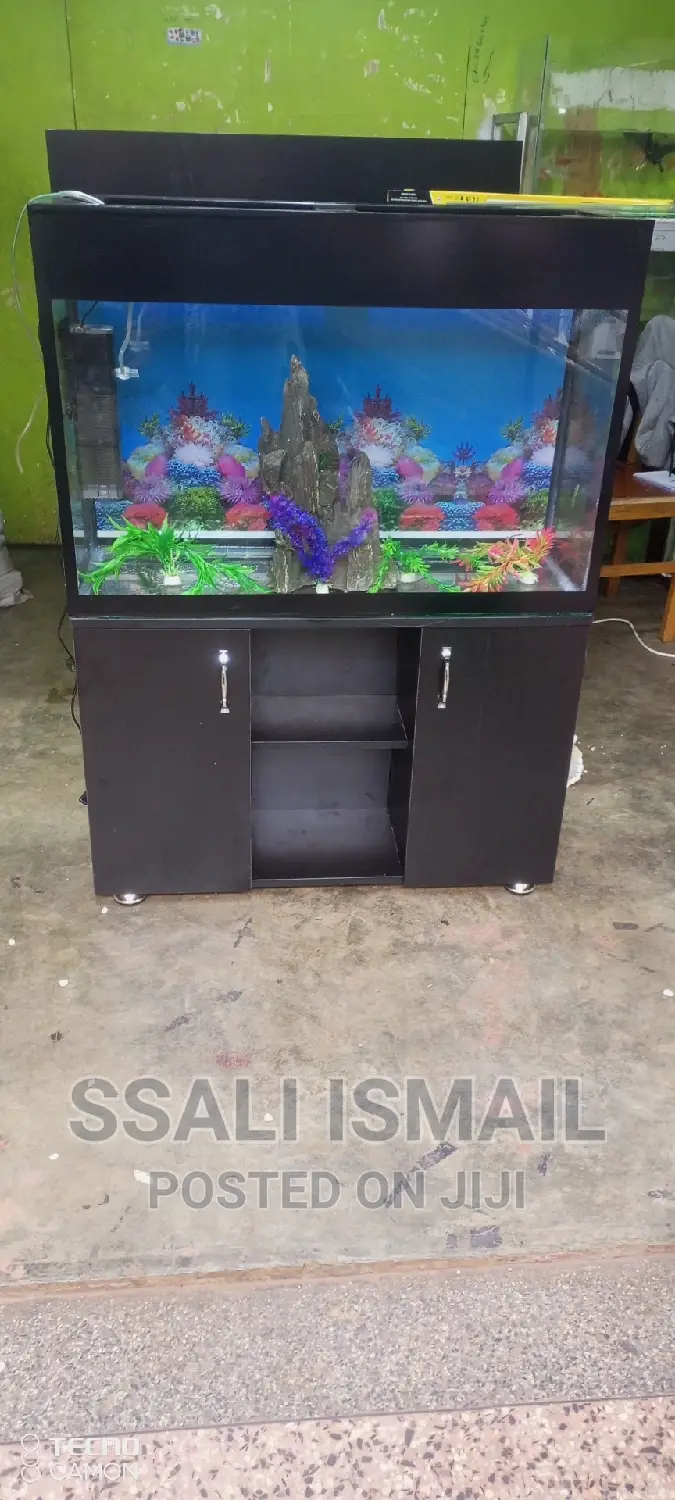 Black Well Decorated Aquarium