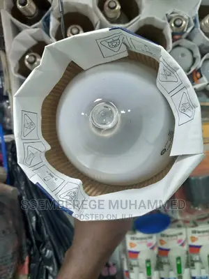 Lighting Bulbs for Grasshoppers