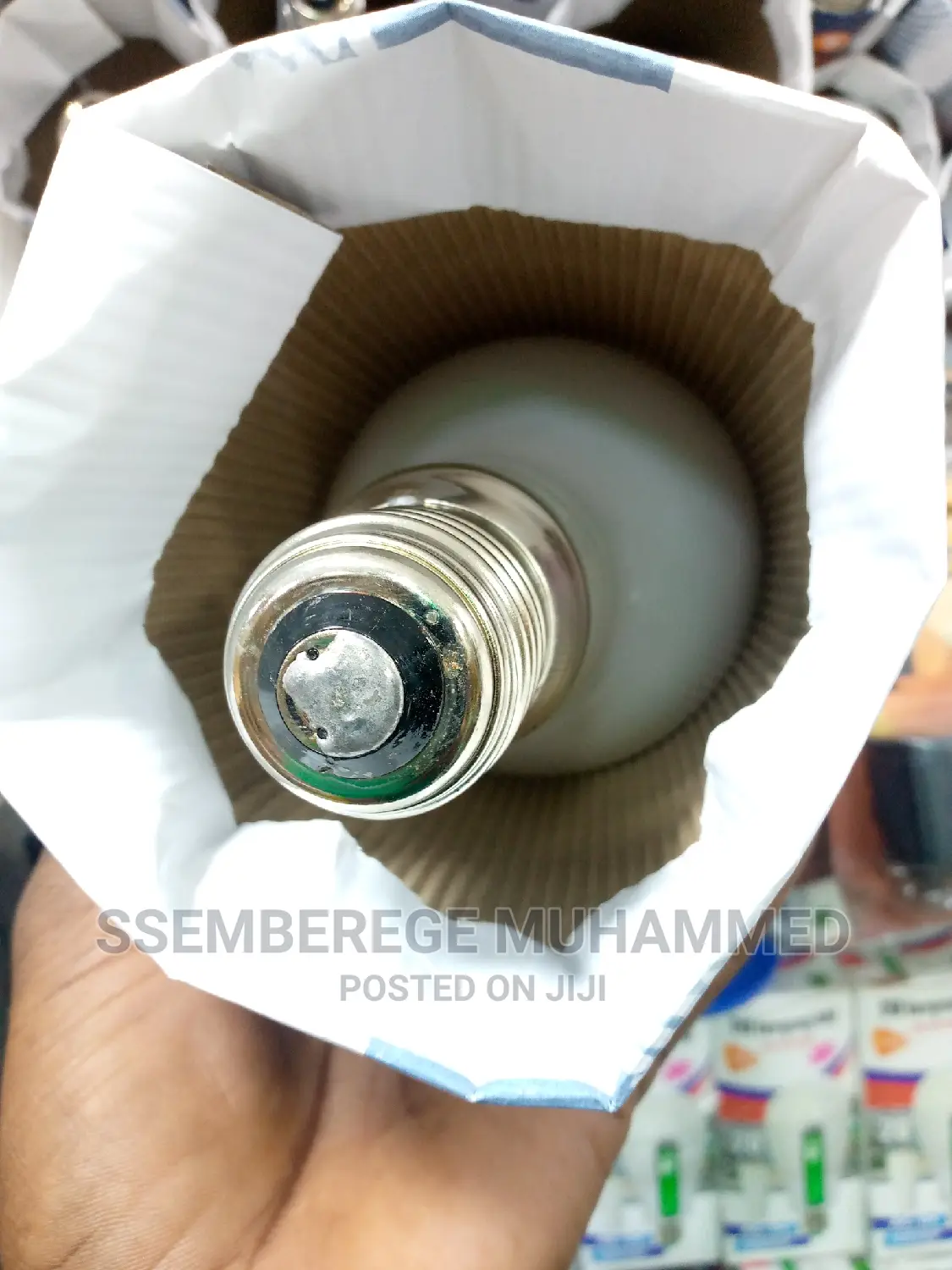 Lighting Bulbs for Grasshoppers