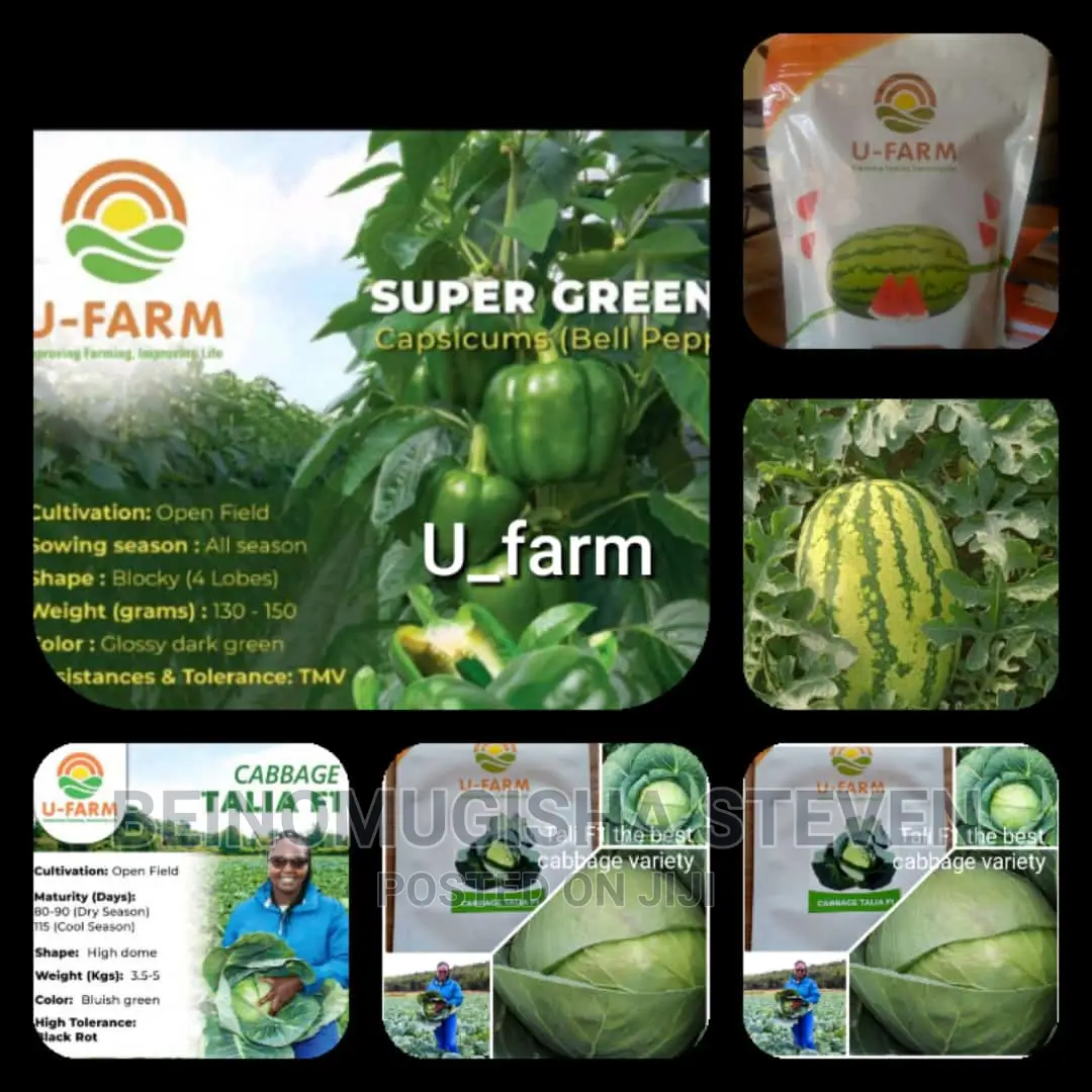 Farm Supervisor/Manager