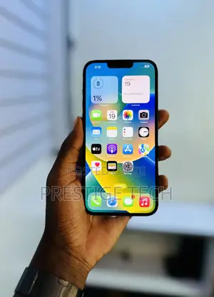 Apple iPhone 13 Pro Max 256 GB Gray