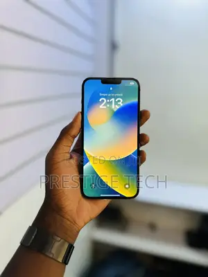Apple iPhone 13 Pro Max 256 GB Gray