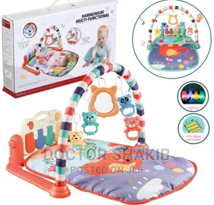 Harmonium Multifunctional Baby Play Gym And Piano