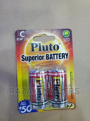 Pruto Type C Non Rechargeable Batteries