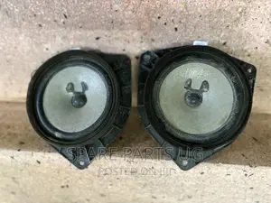Pioneer Door Speakers
