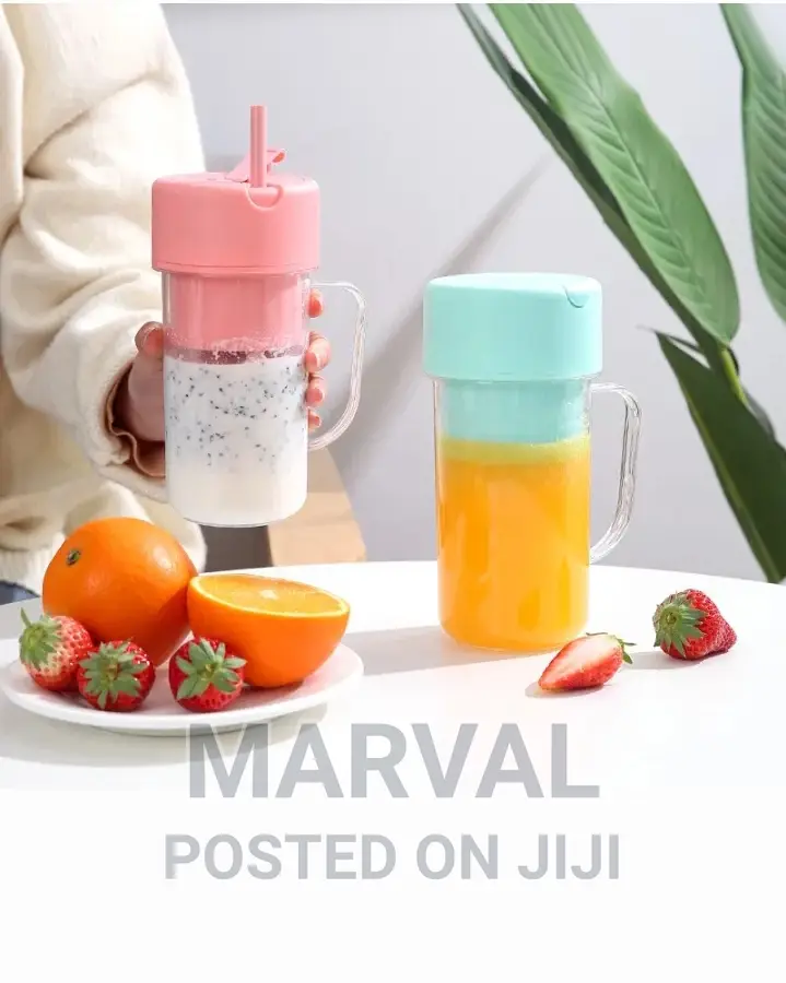 420ml Mini Rechargeable Vegetable Fruit Juicer