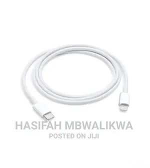 25W iPhone to Type C Fast Charger