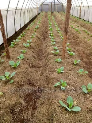 Farm Supervisor/Manager