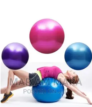 Gym Ball/Yoga Ball/Fitness Ball