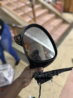 Nissan Juke Side Mirror