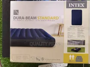Intex Air Mattress
