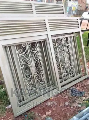 Windows With Mosquito Nets