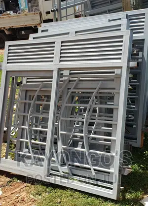 Windows With Mosquito Nets