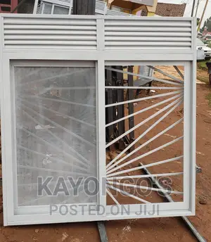 Windows With Mosquito Nets