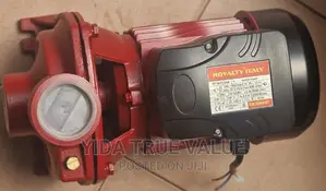 Surface Water Pump 2 Hose Power