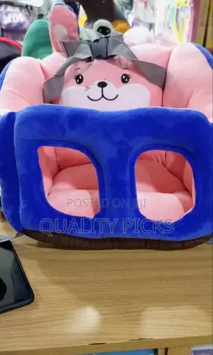 Car Baby Seater