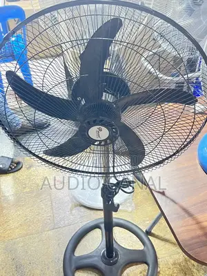 Black 18” Dp Stand Fan