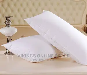 Two Big Fibre Pillows