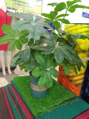 Plants and Flowers