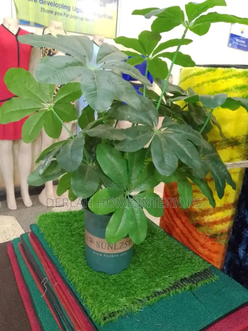 Plants and Flowers