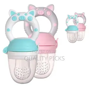 Baby Fresh Fruit Feeder